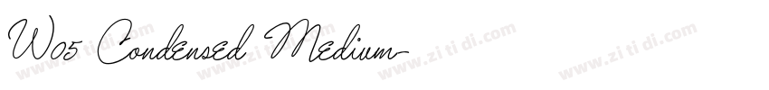 W05 Condensed Medium字体转换